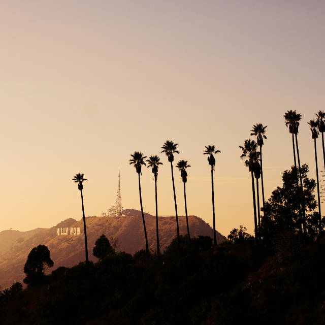 How Do Specialized e-Bikes Compare to Cannondale?