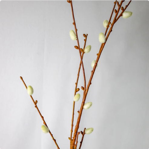 Willow Branch - Realistic Artificial Flowers - Image 2