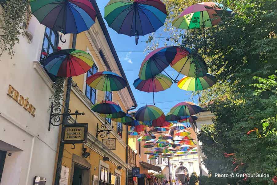 6-hour Szentendre Private Wine Tasting Tour - photo 3