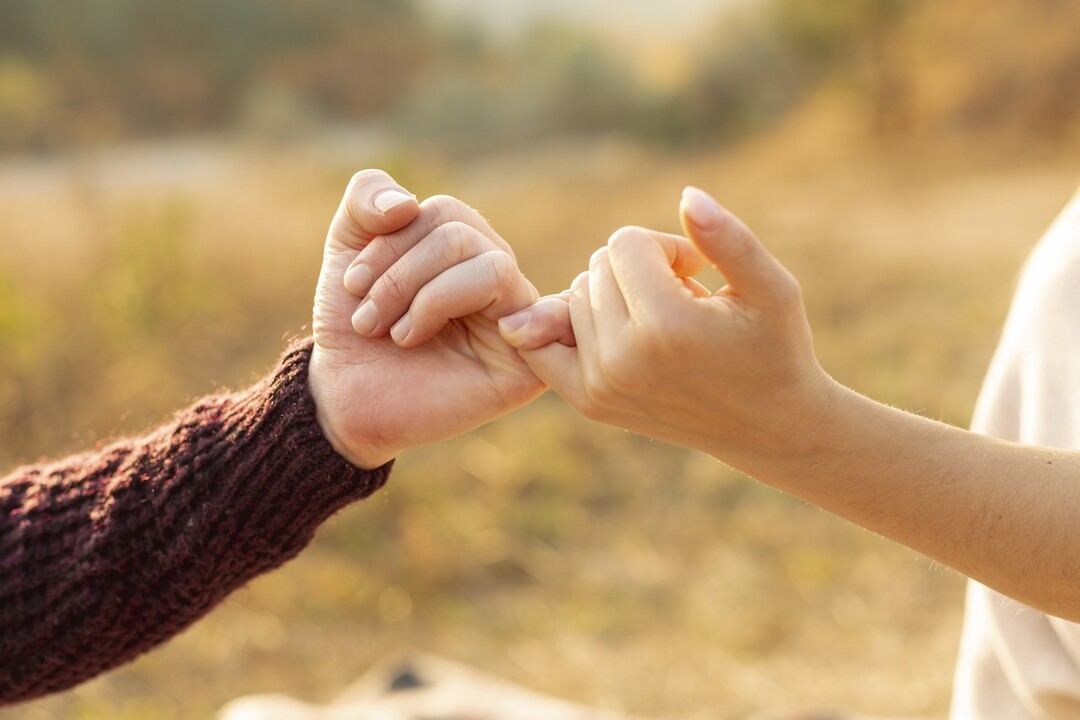 The CRS Promise