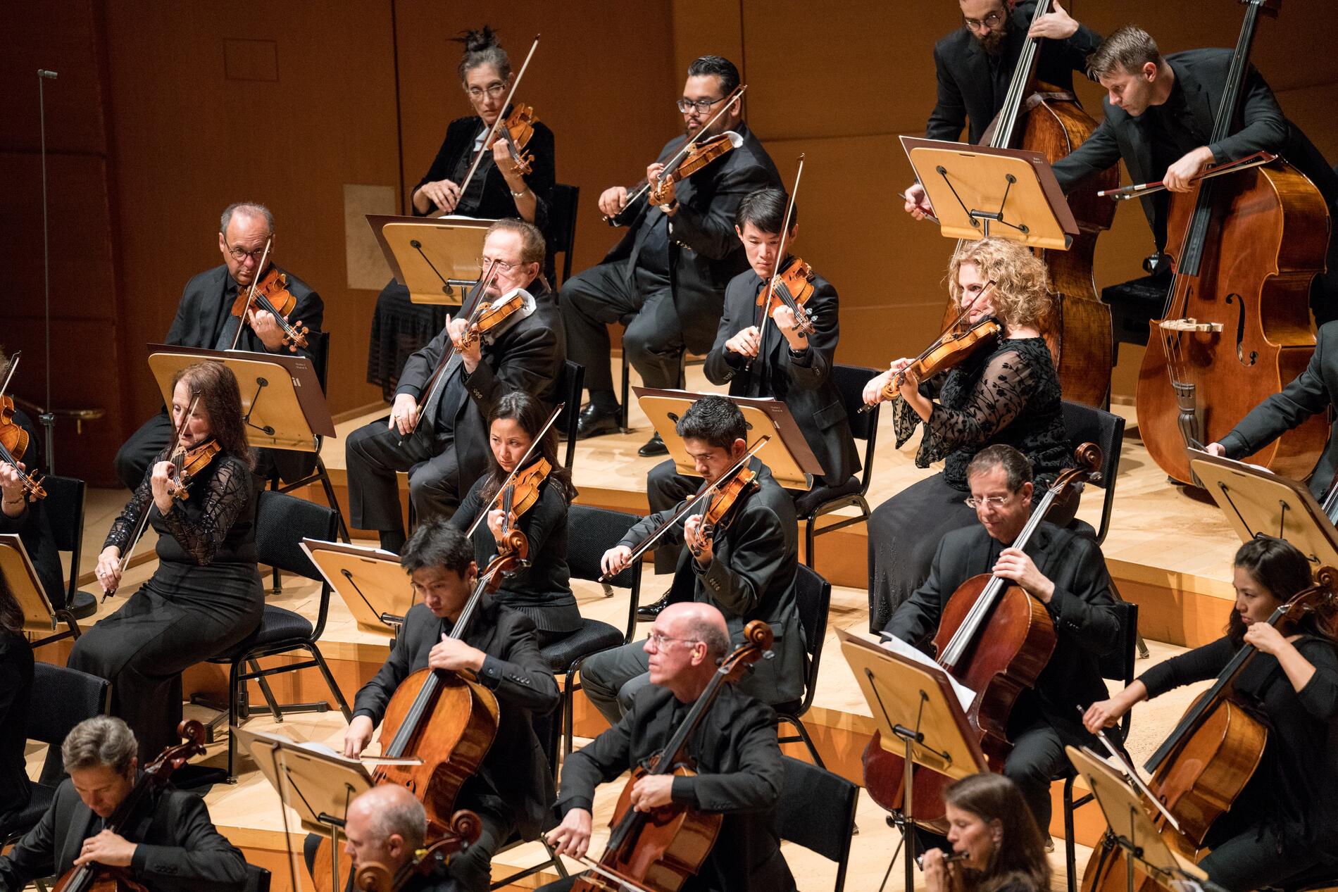 Members of the Los Angeles Philharmonic performing on stage at Walt Disney Concert Hall