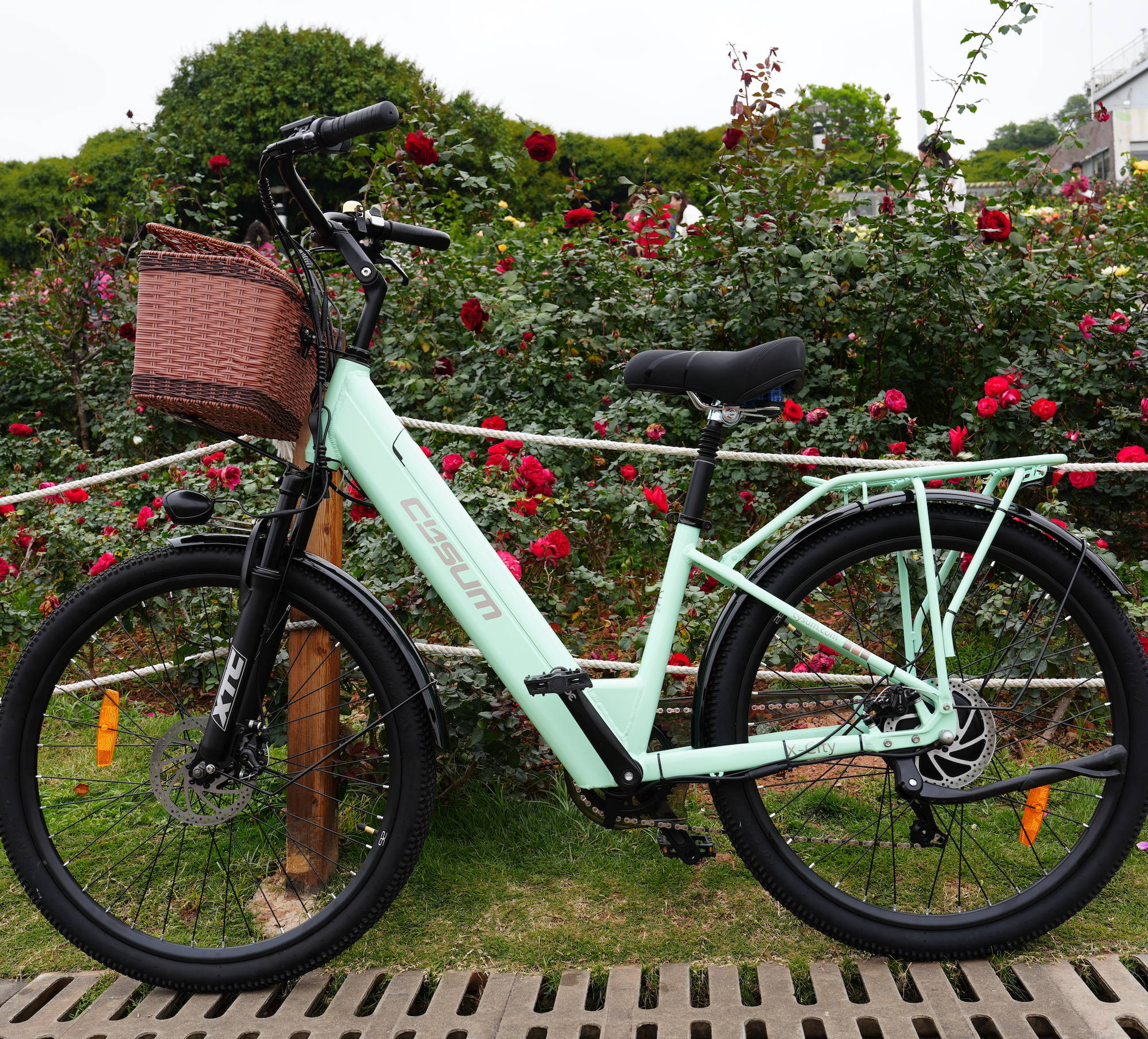 【メーカー直売】 Cysum X-City Torque 45Nm Motor, 250W 48V - Bike Electric 語学・辞書・学習参考書