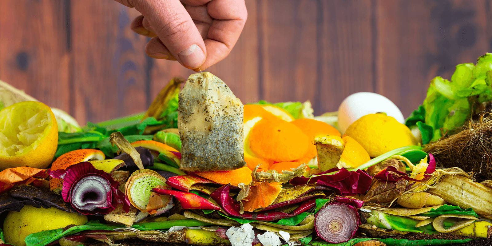 Person puts a tea bag on top of a compost pile.