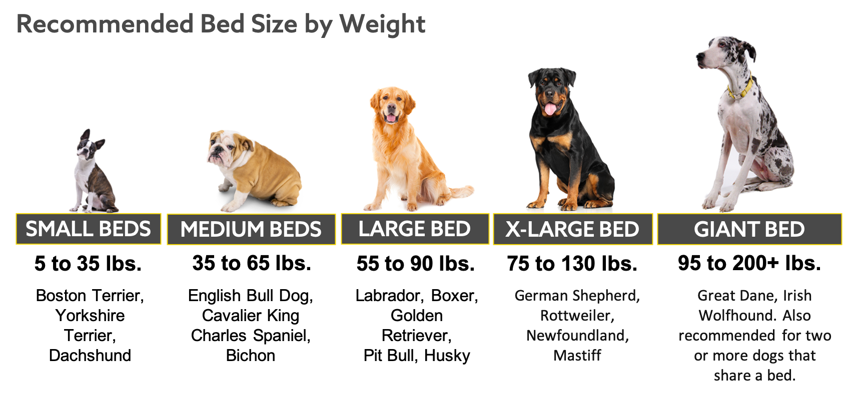 Sizing K9 Ballistics