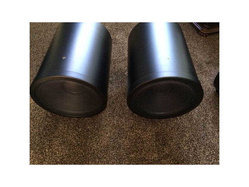 Scaena Loudspeakers Subwoofer pair The best subs system in the world