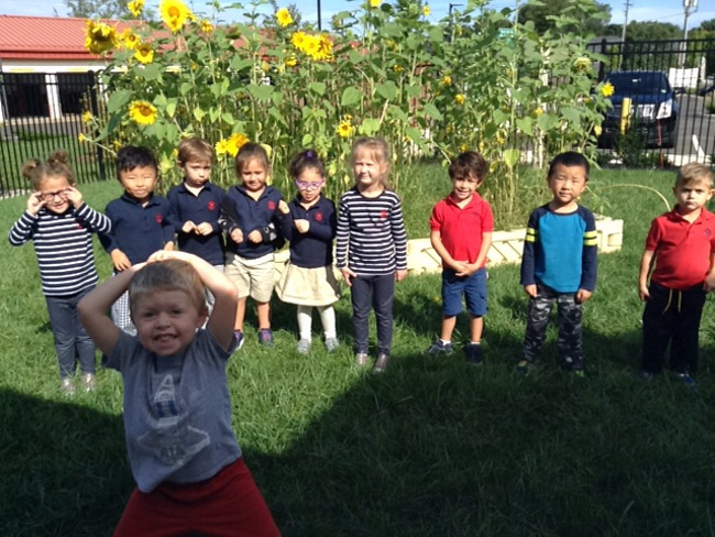 We are celebrating the sunflowers in the Primrose Patch that we grew.