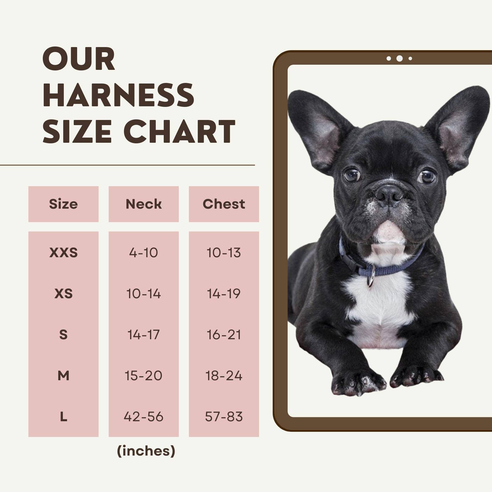 french bulldog harness size chart