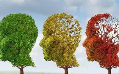 THE SECRETS OF AGING AND LONGEVITY