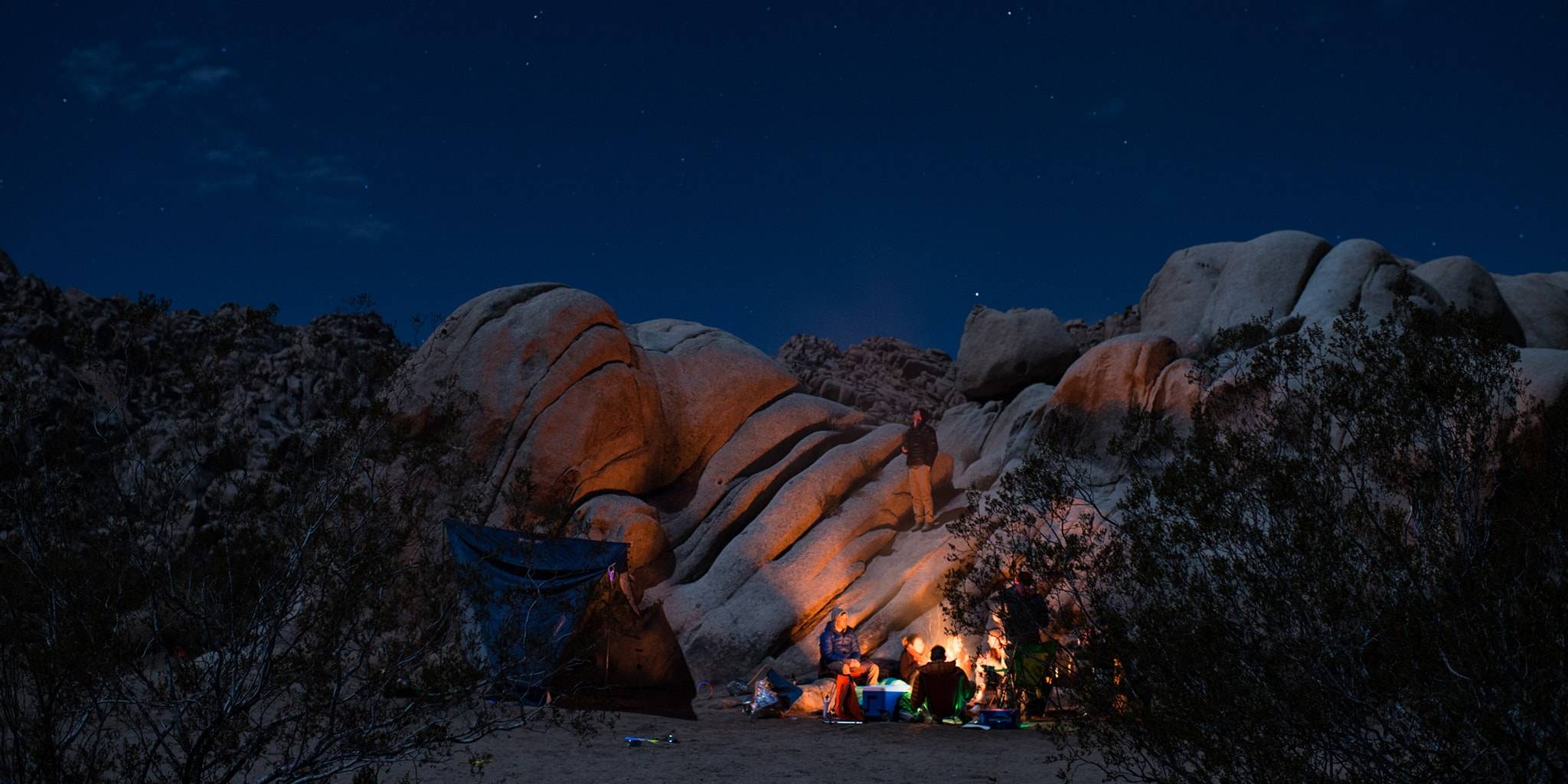 Group of campers with a campfire in Joshua Tree at night