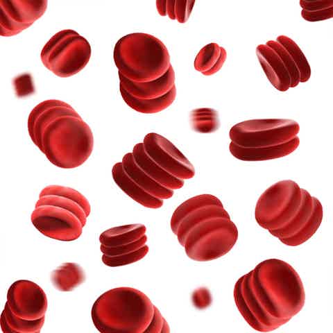 Stacked red blood cells