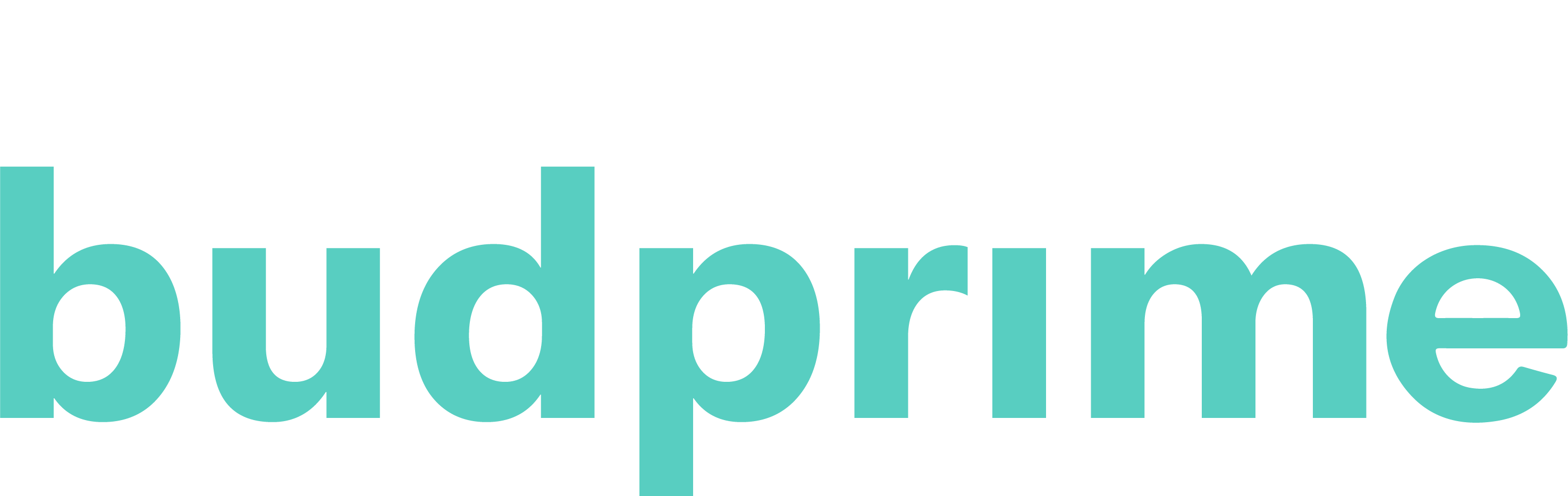 Logo - Budprime