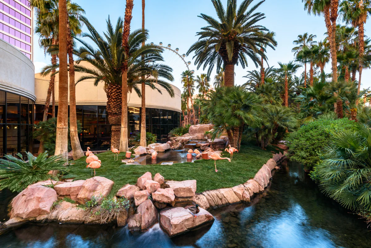 Flamingos, gardens, and water at the Flamingo Wildlife Habitat