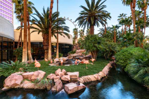 Flamingo Wildlife Habitat