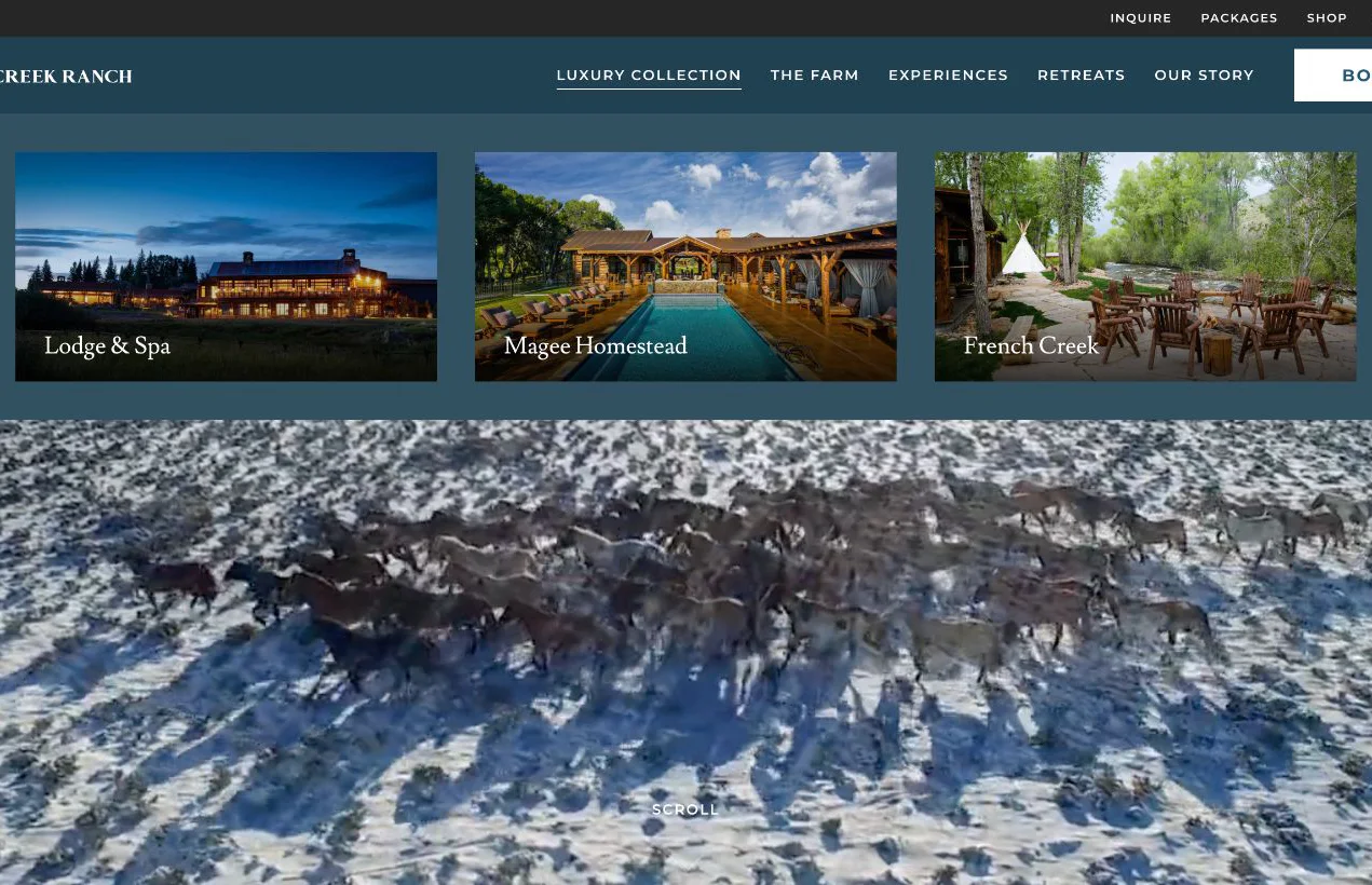 Screenshot image