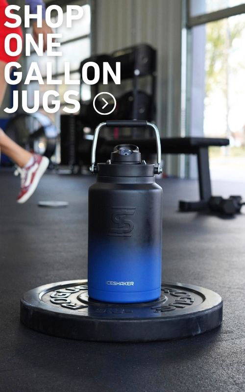 Shop Ice Shaker One Gallon Jugs