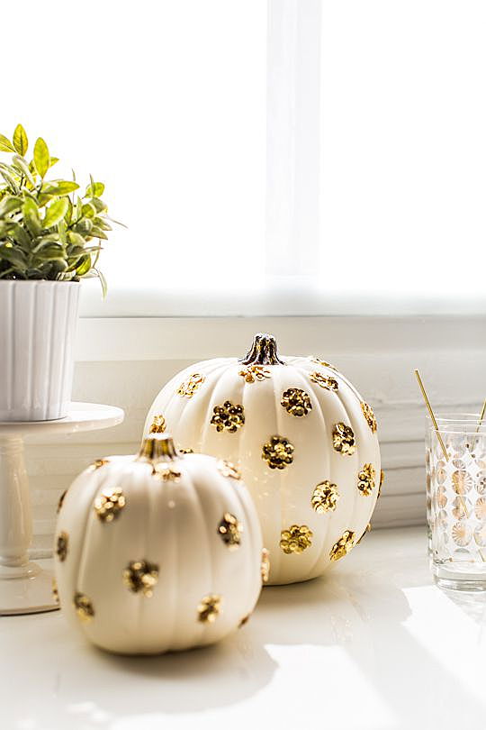  Riccione
- pumpkin-decorating-ideas-8.jpeg