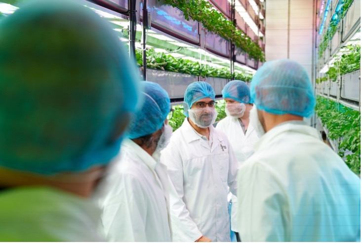 How AI Has Emerged As A Valuable Tool In Contract Catering