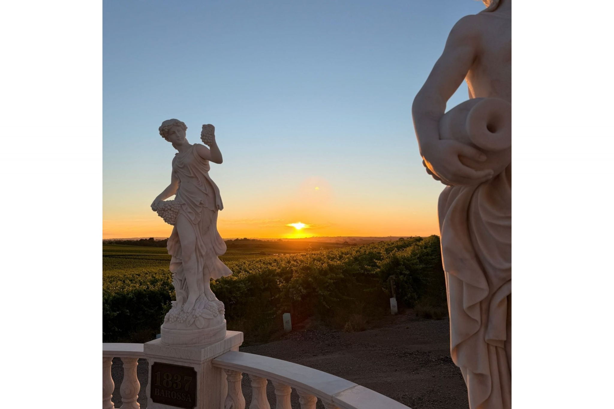 1837 Barossa Restaurant - Voucher - Image 4