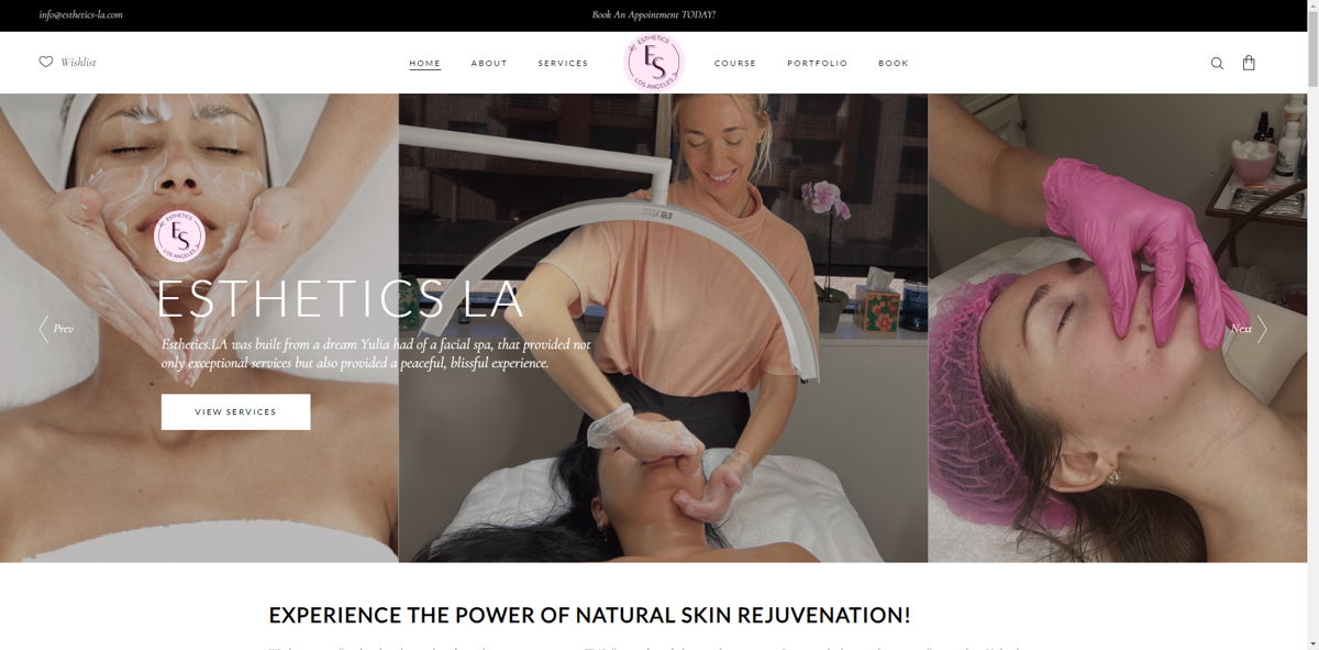 Screenshot of Esthetics LA, from the esthetician websites collection.