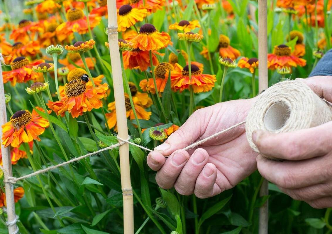 wrapping twine