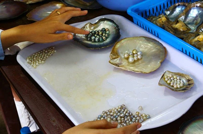 Sorted Sea Pearls