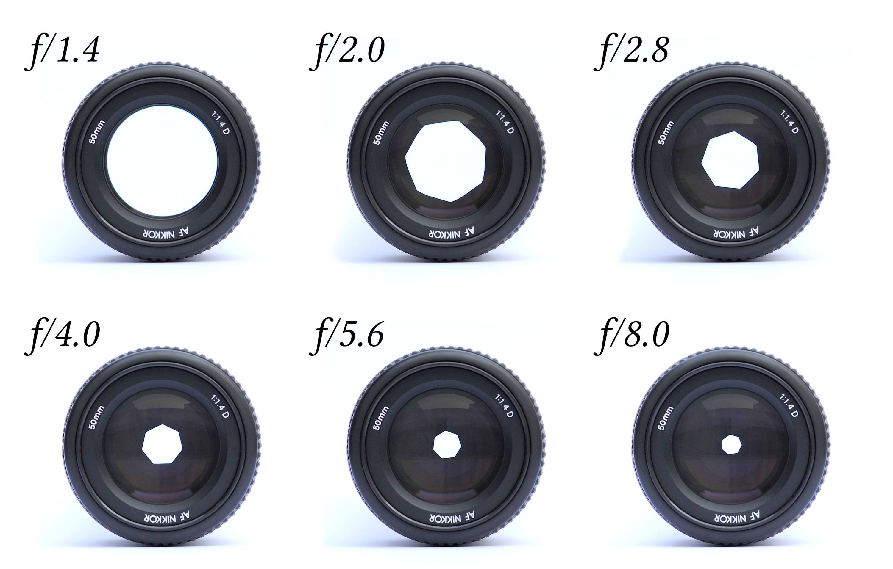 rappresentazione delle diverse aperture del diaframma in un obiettivo fotografico