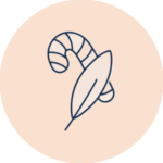 Alt Image
