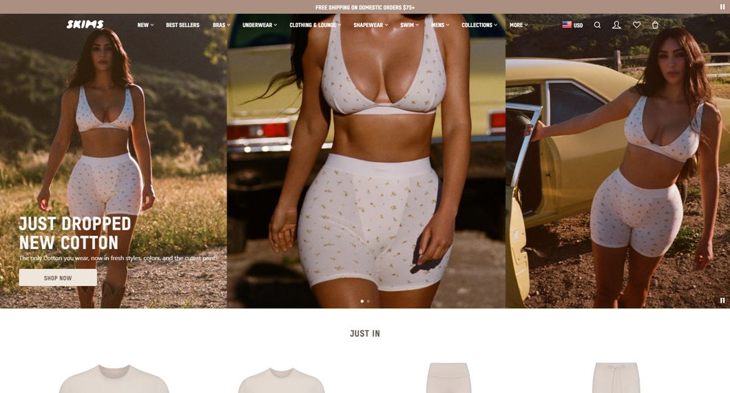 Shopify Clothing Stores