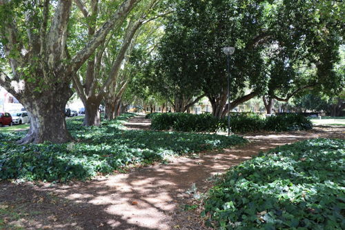 Brigatti Gardens