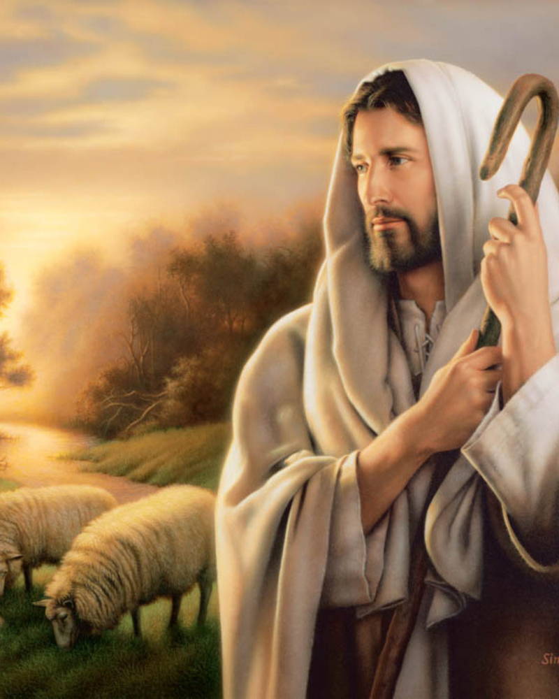 Jesus holding a shepherd's crook and watching over a flock of sheep. The scenery is quiet and serene.
