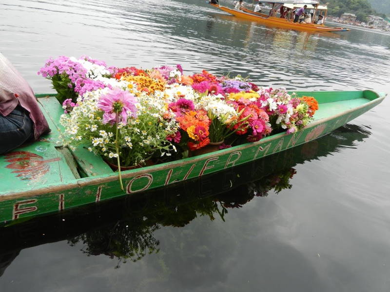 Srinagar Boat Flowers