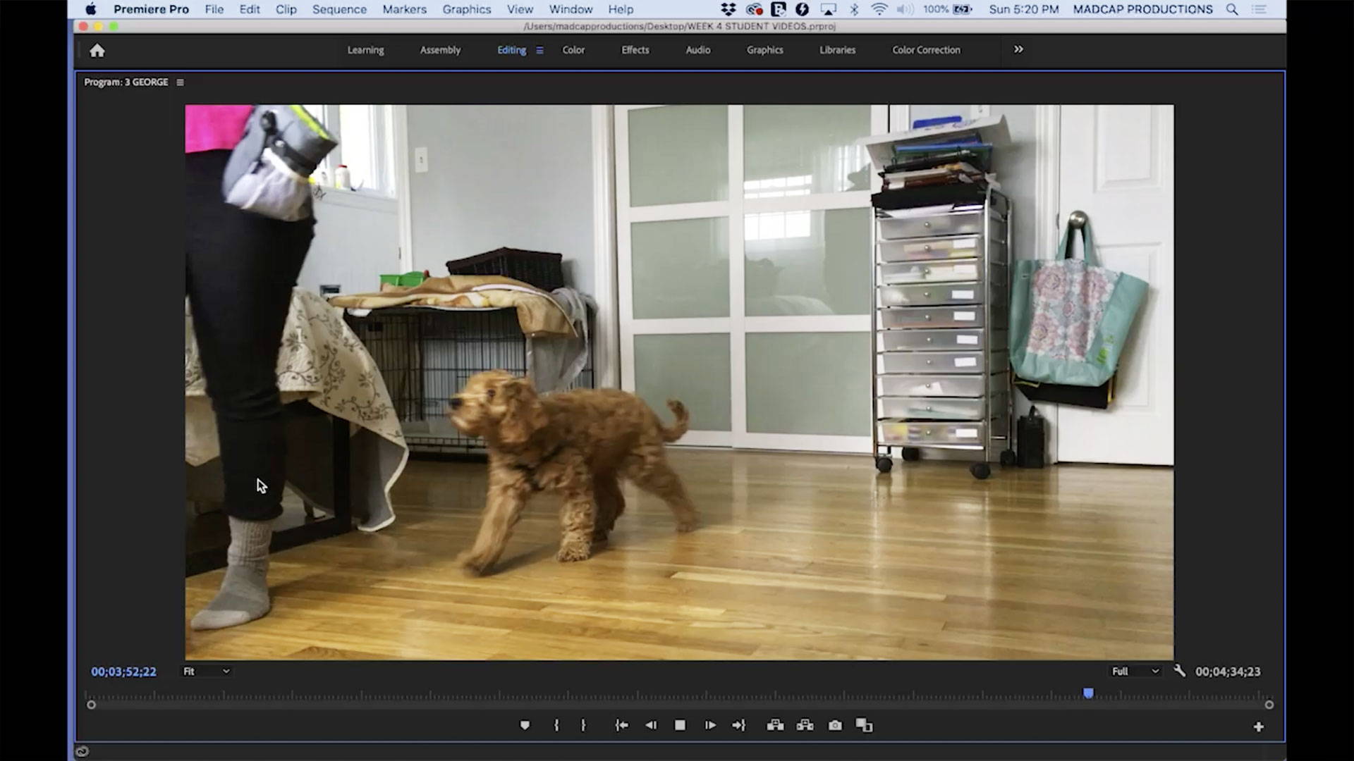 Video