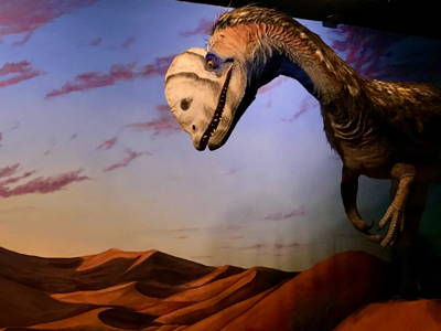 Las Vegas Natural History Museum Uploaded on 2022-01-31