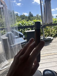 Nice ash