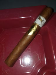 Cigar Session Photo