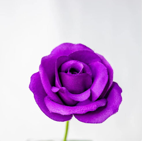 Purple Velveteen Bloom - Realistic Artificial Flowers - Image 3