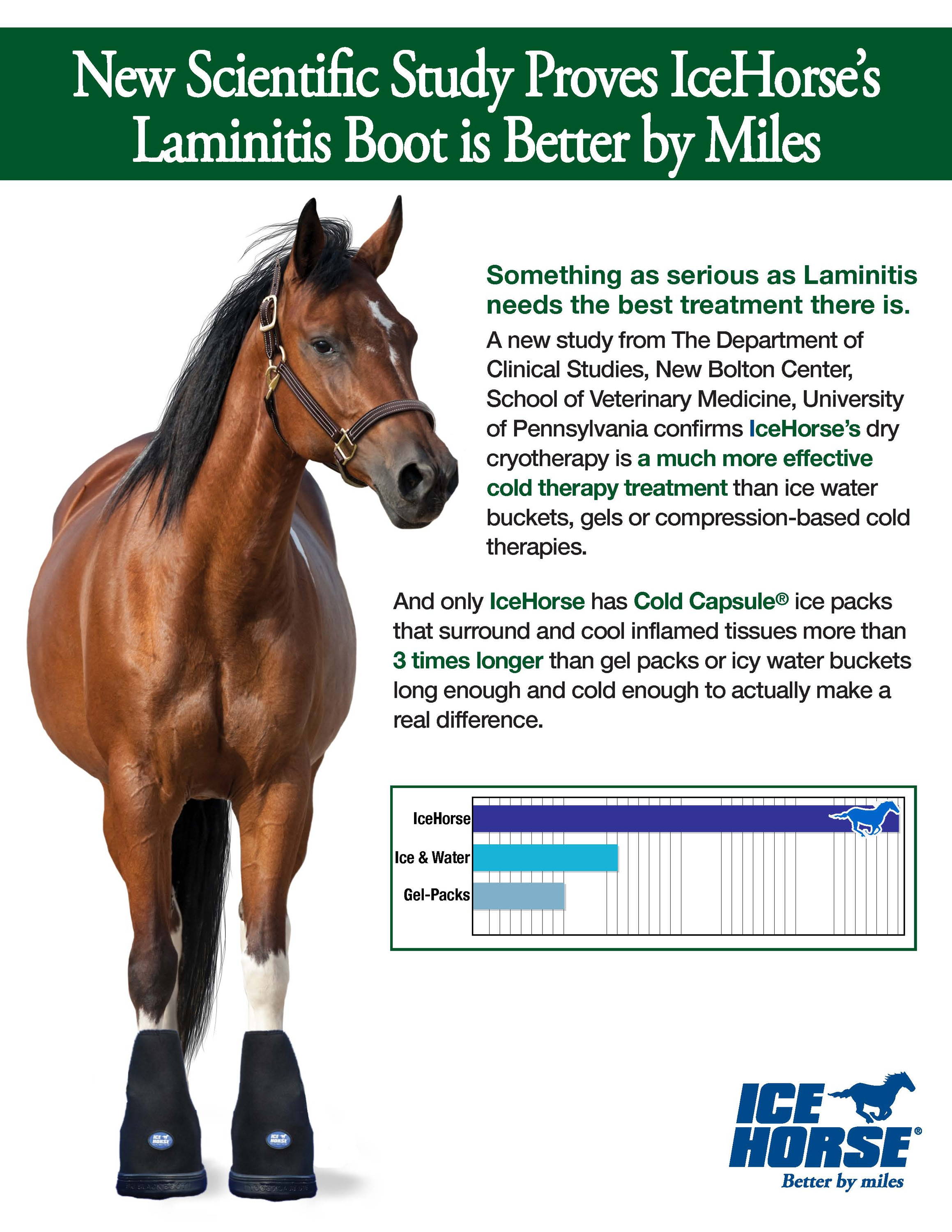 Study Proves Ice Horse's Laminitis Boot is Better by Miles MacKinnon