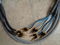 WyWires, LLC Silver Bi-Wire Speaker Cables 5