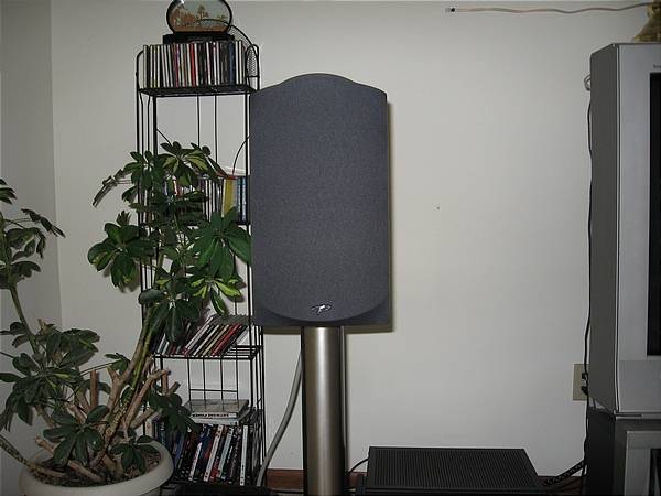 Left Paradigm speaker. 