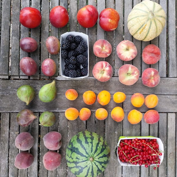 panier-fruits-bio