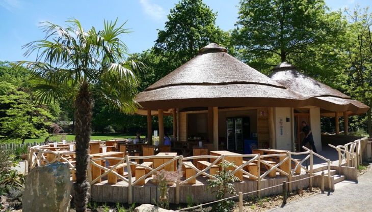 zoo krefeld erdmaennchen lodge