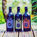 Bouteilles Highland Gin numéros 17, 22 et 8 de la distillerie Fairytale dans le nord-ouest des Highlands d'Ecosse