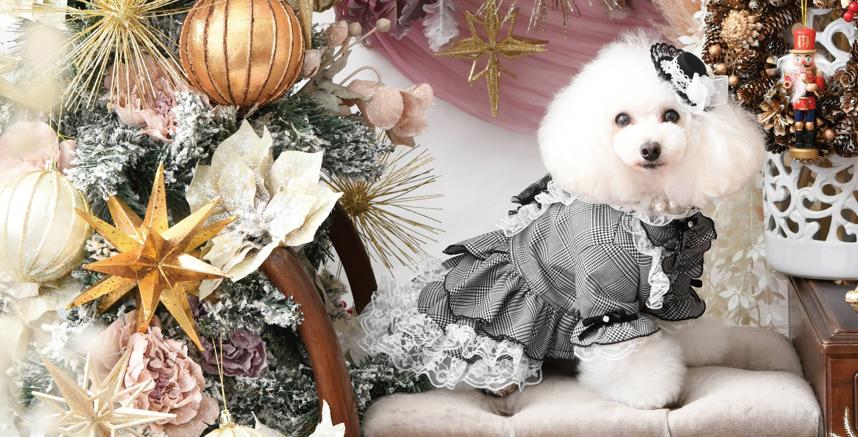 Luxebirdie（リュクスバーディ）|小型犬とのリュクスな生活を楽しむ