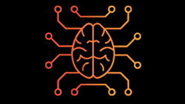 Main Content Image