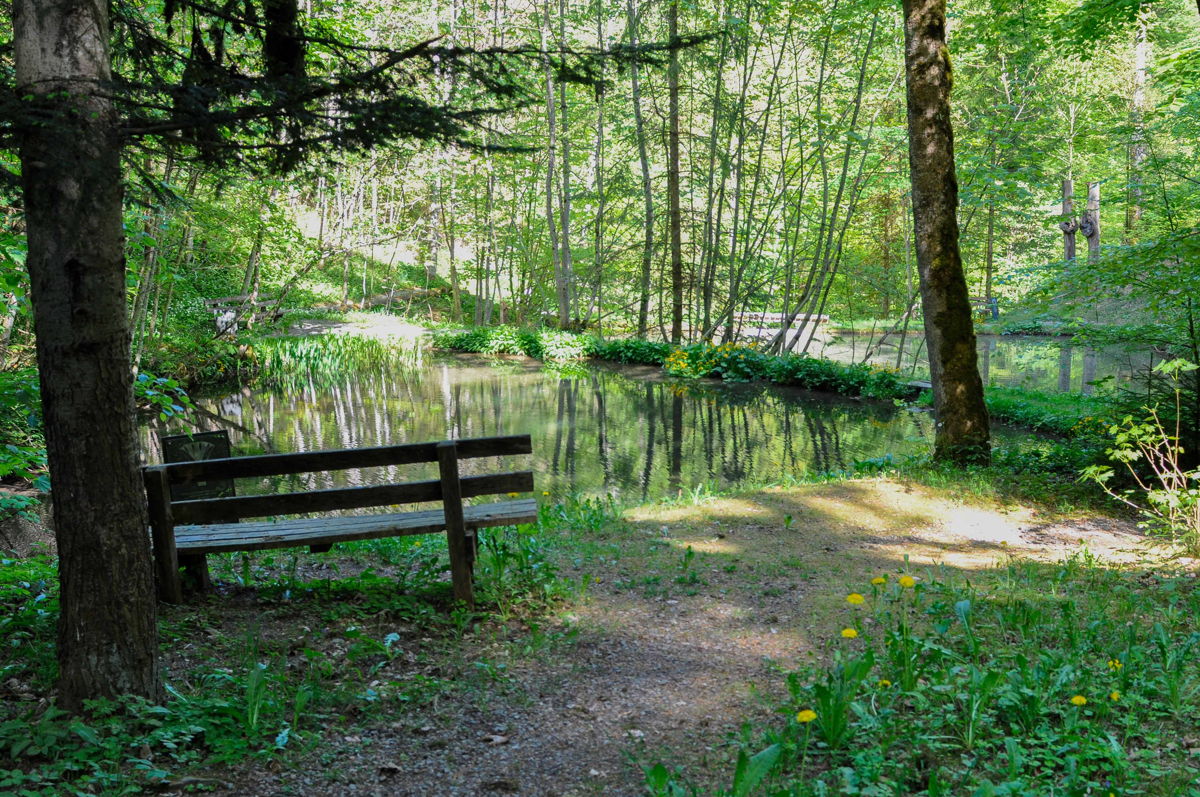 Führung Weg der Sinne - Weg der Stille
