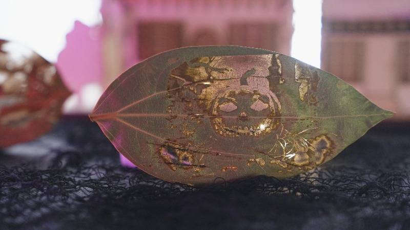 Ideas de grabado láser para el arte del tallado de hojas 04