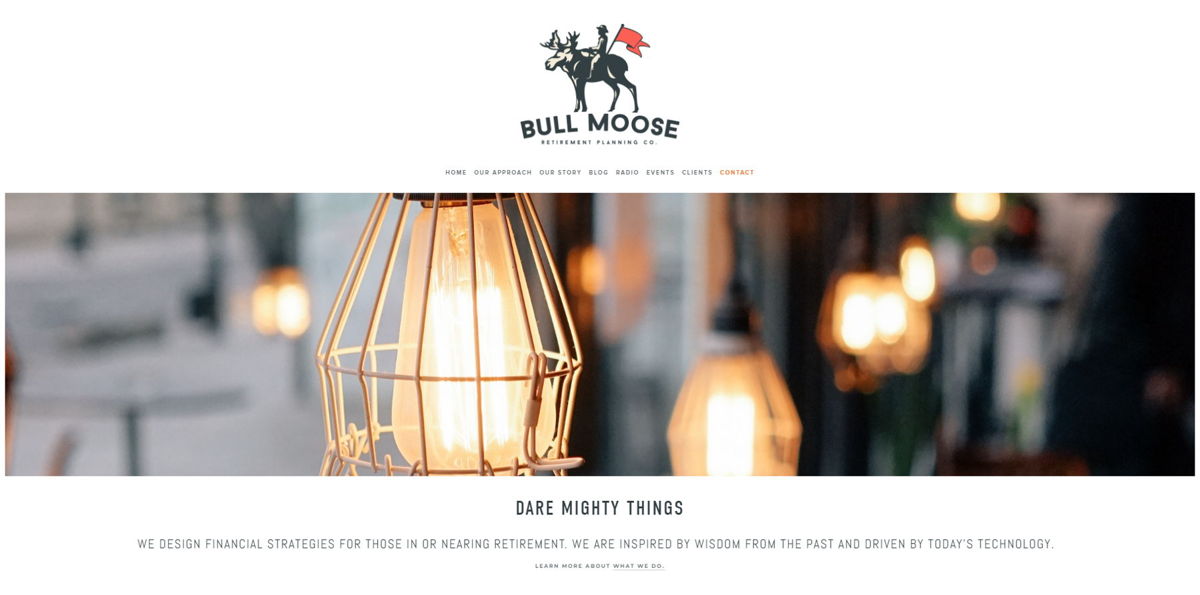Screenshot of Bull Moose Retirement, from the white websites collection.