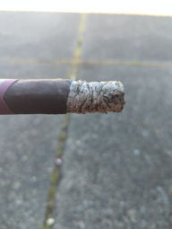 Cigar Session Photo