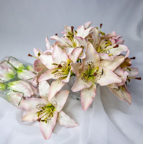 Light Pink Asiatic Lily Flowerhead - Realistic Artificial Flowers - Image 2