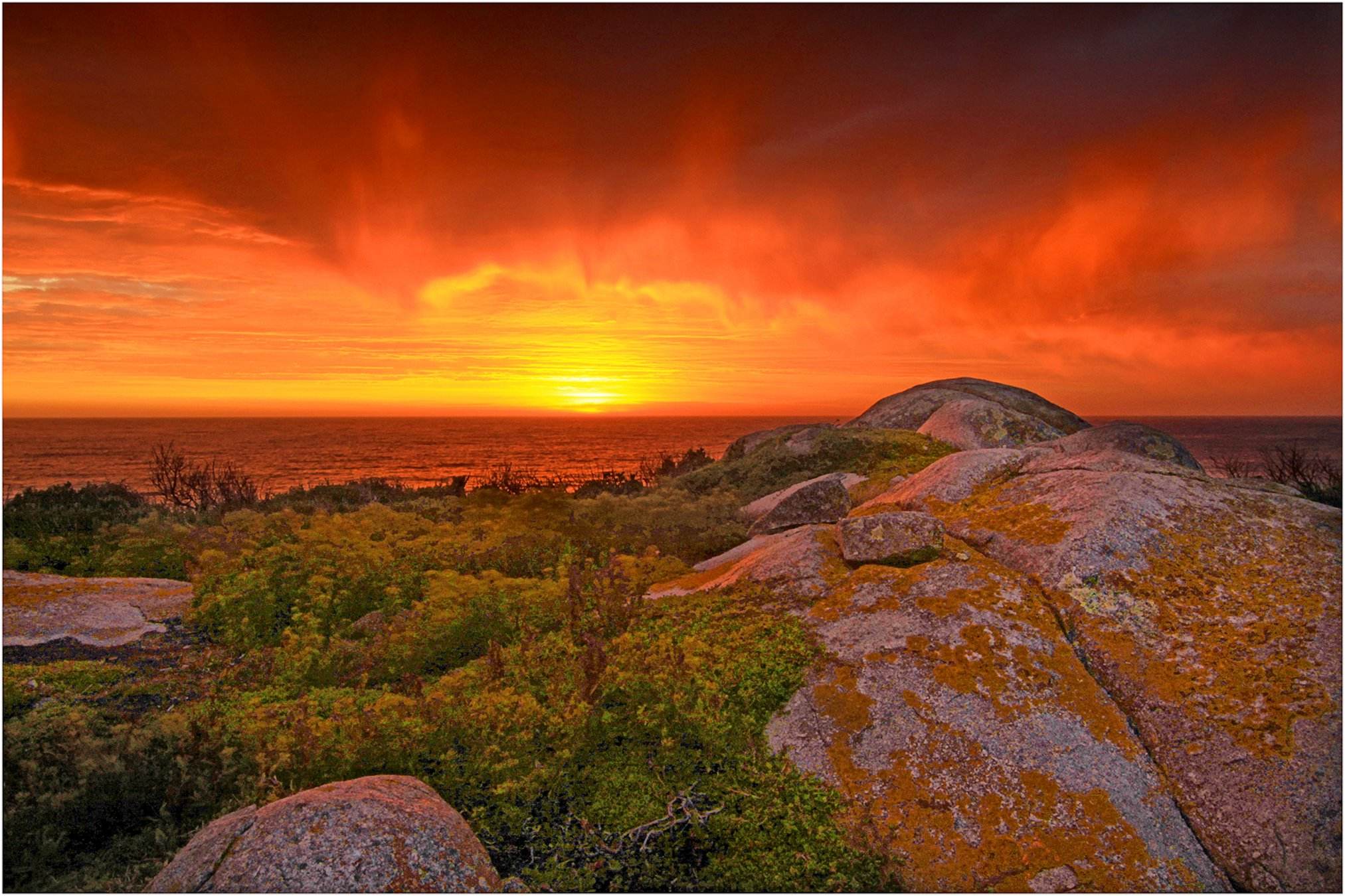 King Island Tours Voucher - Image 3